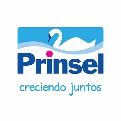 prinsel.com.mx